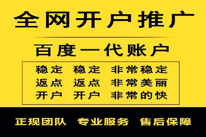 SEM精准广告投放的五大成功案例