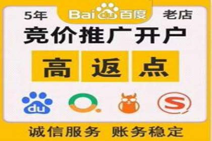 揭秘百度推广：成功案例背后的秘诀